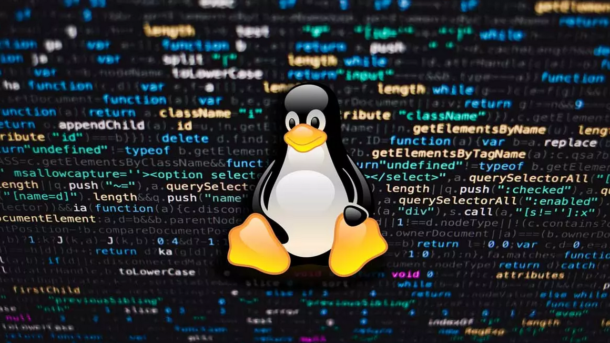 Tux sobre impresionado en una terminal de Linux
